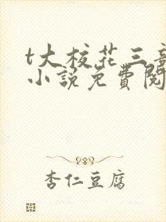 t大校花三部曲小说免费阅读全文封面