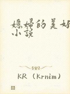 媳妇的美好时代小说封面