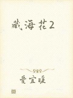 藏海花2