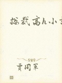 总裁高h小说封面