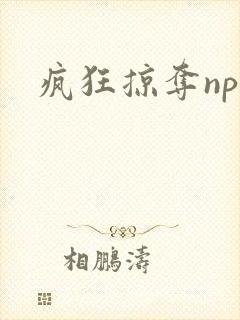 疯狂掠夺npc