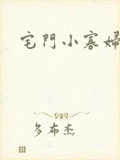 宅门小寡妇封面