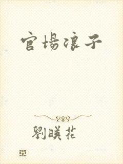 官场浪子