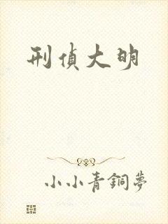 刑侦大明封面