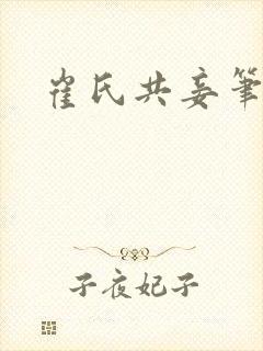 崔氏共妾笔趣阁封面