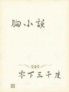 胸小说