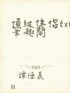 顶级伴侣txt笔趣阁