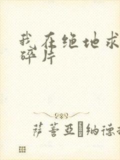 我在绝地求生捡碎片