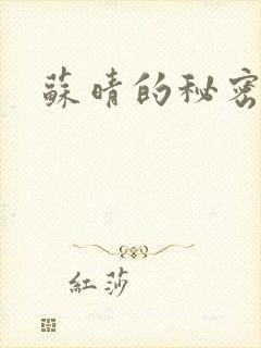 苏晴的秘密小说