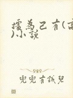 据为己有(高干)小说