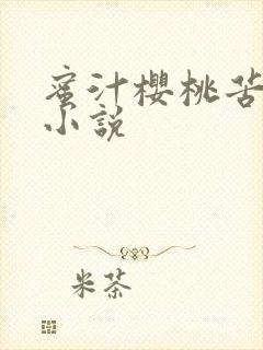 蜜汁樱桃苦咖啡小说