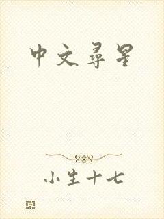 中文寻星