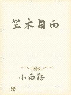 笠木日向