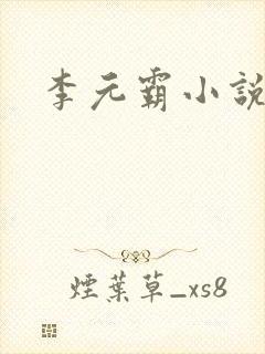 李元霸小说