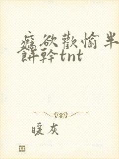 瘾欲欢愉半块小饼干tnt
