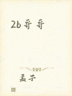 2b哥哥