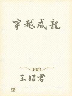 穿越成龙
