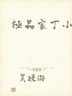 极品家丁小说
