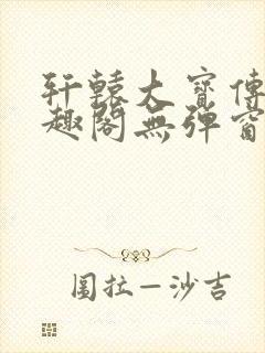 轩辕大宝传奇笔趣阁无弹窗封面