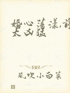 婚心荡漾,前夫太凶猛