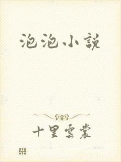 泡泡小说