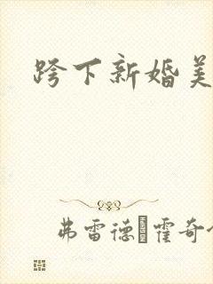 跨下新婚美妇封面
