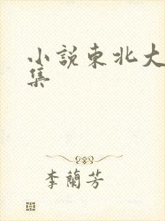 小说东北大炕全集