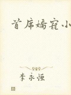 首席娇宠小情人封面