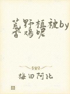 荒野植被by麦香鸡呢