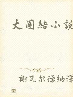 大团结小说阅读