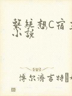 系统想C宿主的小说