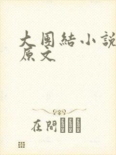 大团结小说阅读原文