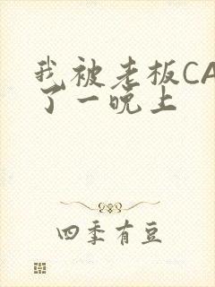 我被老板CAO了一晚上