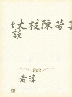 t大校陈若芸小说