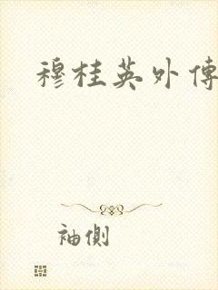 穆桂英外传