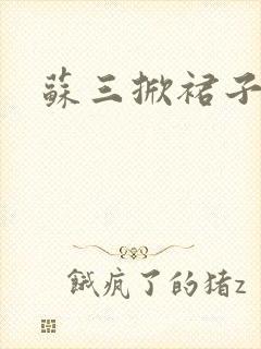 苏三掀裙子