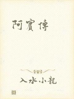 阿宾传