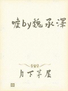 嘘by魏承泽