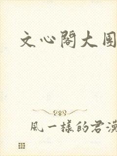 文心阁大团结封面