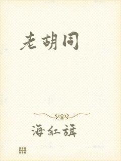 老胡同封面