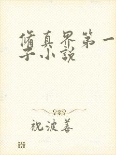 修真界第一病秧子小说