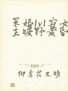 军婚1v1宠女主旷野黄昏
