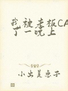我被老板CAO了一晚上封面