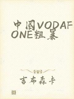 中国VODAFONE粗暴