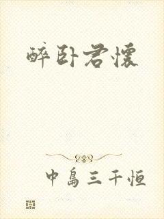 醉卧君怀封面