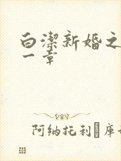 白洁新婚之夜第一章