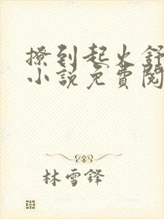 撩到起火舒漾的小说免费阅读全文
