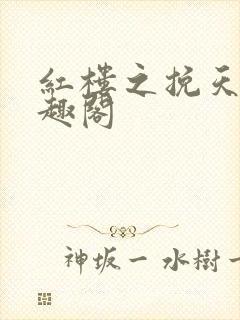 红楼之挽天倾笔趣阁