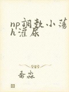 np调教小荡货h灌尿