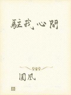 驻我心间